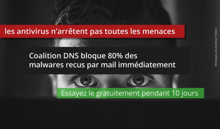 10 +1 raisons de choisir Coalition DNS